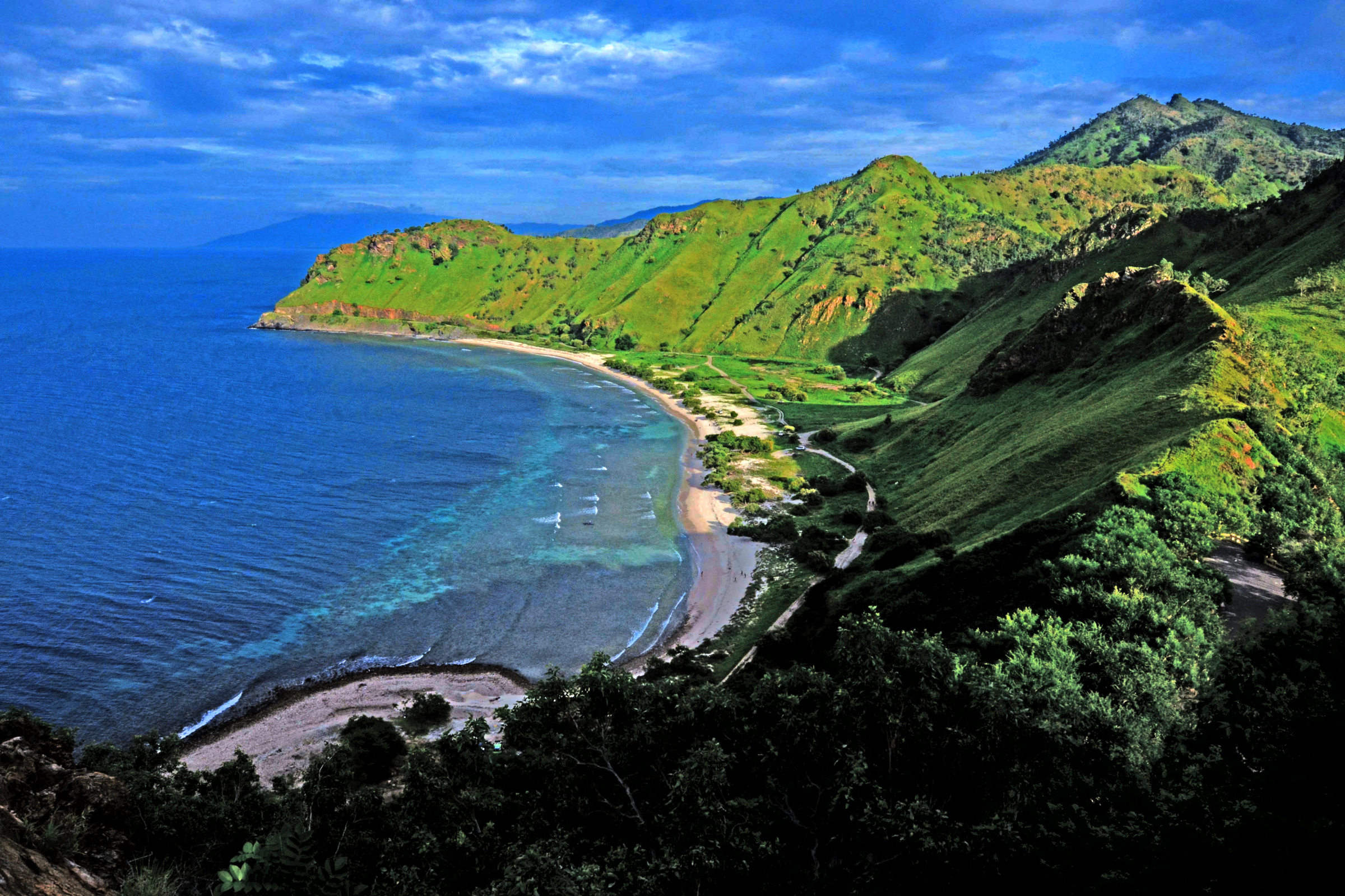 dili 01.webp